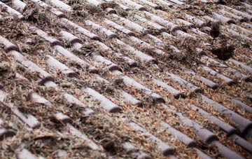 Butlocks Heath roof cleaning companies